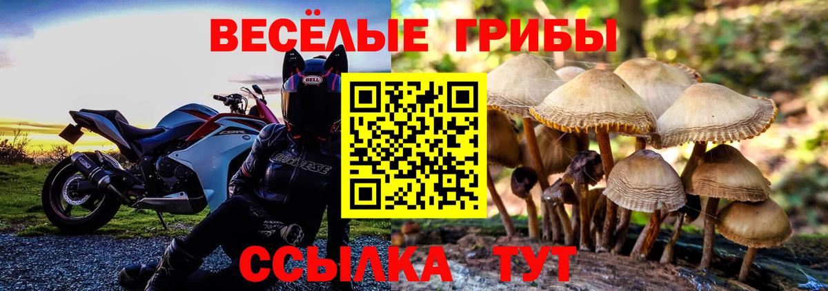 Галлюциногенные грибы ЛСД Гатчина
