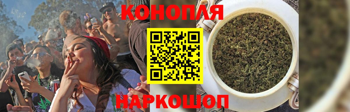 Шишки марихуана сатива Гатчина